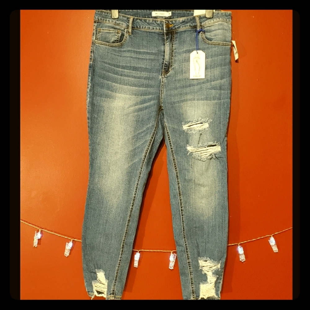 Plus Skinny Ripped Jean